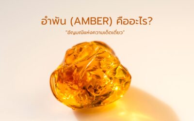อำพัน (AMBER) คืออะไร?